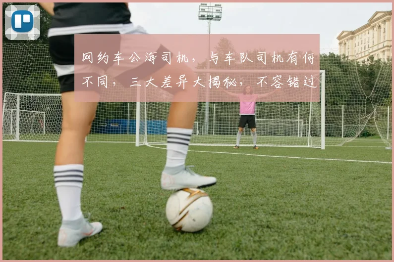 网约车公海司机，与车队司机有何不同，三大差异大揭秘，不容错过