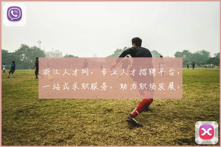 浙江人才网，专业人才招聘平台，一站式求职服务，助力职场发展，三重保障，值得信赖