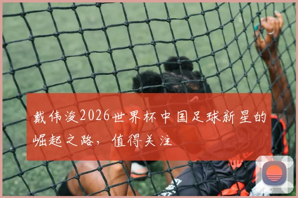 戴伟浚2026世界杯中国足球新星的崛起之路，值得关注