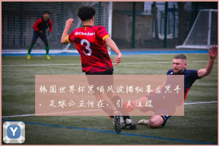 韩国世界杯黑哨风波揭秘幕后黑手，足球公正何在，引关注逗