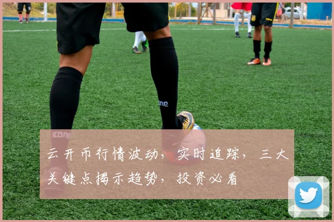云开币行情波动，实时追踪，三大关键点揭示趋势，投资必看